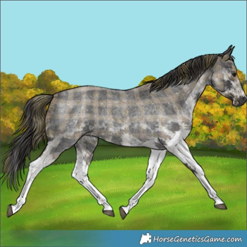 Horse Color:Plaid  White Spotted Smoky Blue Roan 