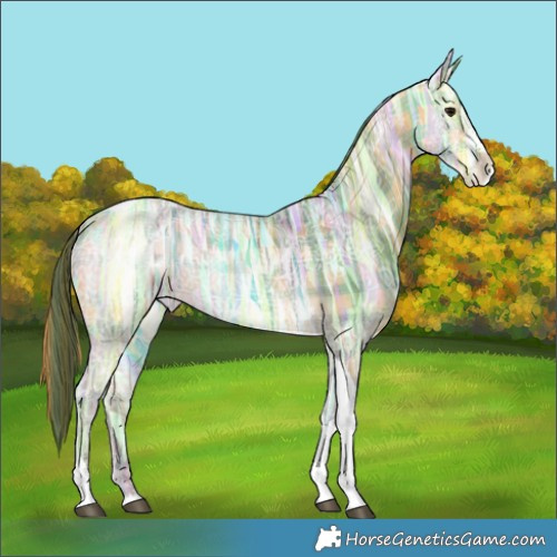 Horse Color:Plaid  Buckskin Ice Sabino Tobiano 
