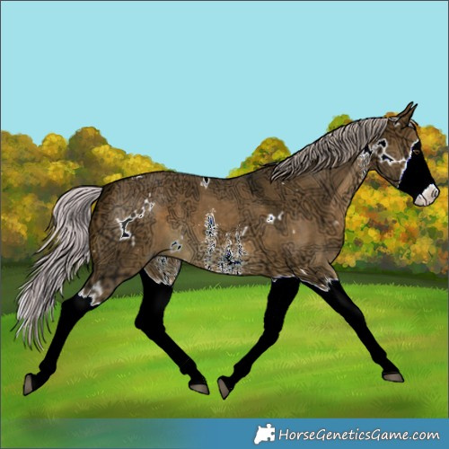 Horse Color:White Spotted Silver Brown Ice Dun Sabino Splash 