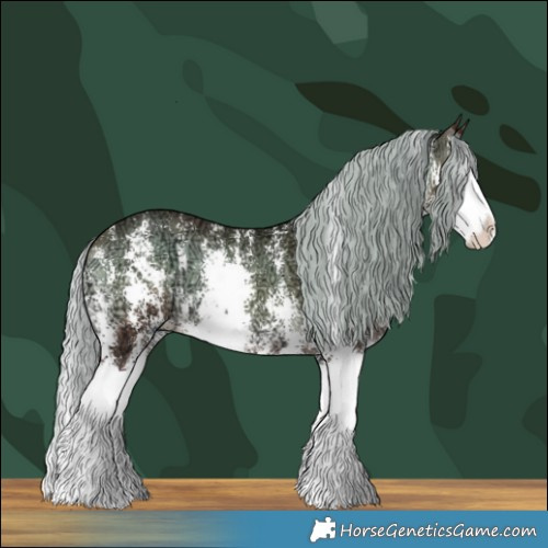 Horse Color:Silver Brown Ice Onyx Sabino Splash 