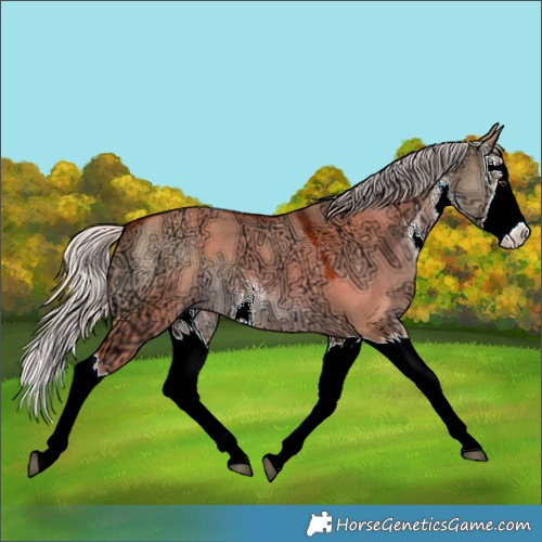 Horse Color:White Spotted Silver Brown Ice Dun Splash 