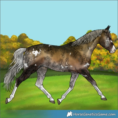 Horse Color:White Spotted Silver Brown Ice Onyx Sabino Splash 