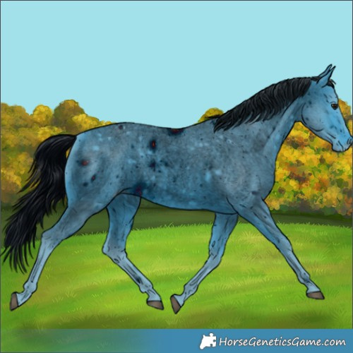 Horse Color:ERROR: UNKNOWN ANOMALY