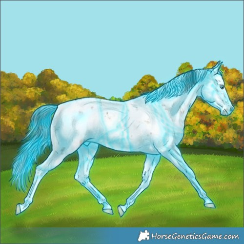 Horse Color:Thunderstruck Liver Red Dun Sabino Splash 