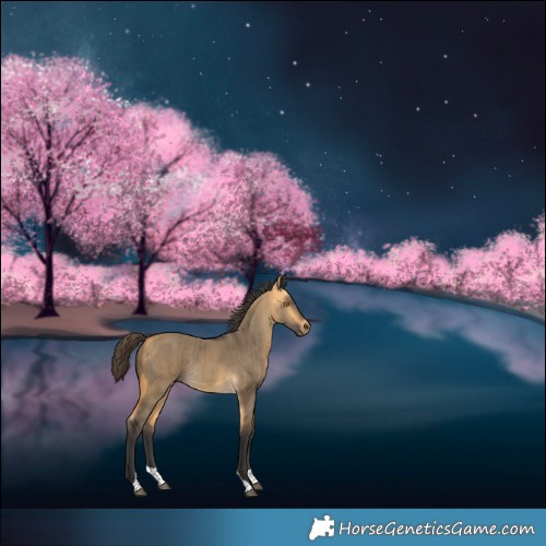 Horse Color:Buckskin Dun Tobiano Rabicano Brindle 