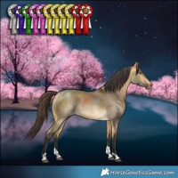 Horse Color:Buckskin Dun Tobiano Rabicano Brindle 