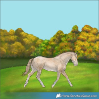Horse Color:Smoky Black Pearl Merle Tobiano 