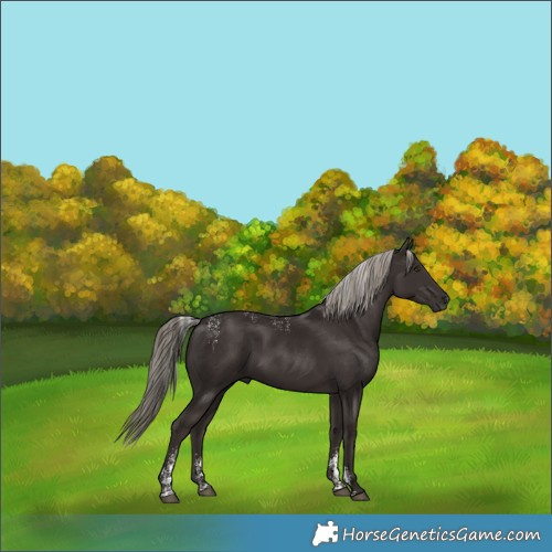 Horse Color:Powder White Liver Chestnut 