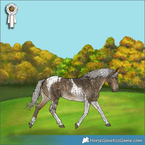 Horse Color:White Spotted Silver Brown Dun Tobiano Brindle and Silver Buckskin Tobiano