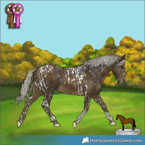 Horse Color:White Spotted Silver Black Splash Tobiano  and Silver Buckskin Tobiano 