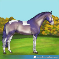 Horse Color:Watercolor Brown Onyx Splash Tobiano 