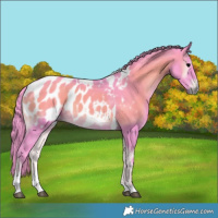 Horse Color:Gray Watercolor Blue Onyx Tobiano Blanket 