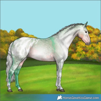 Horse Color:Gray Watercolor Silver Smoky Grullo Ice Tobiano Blanket 