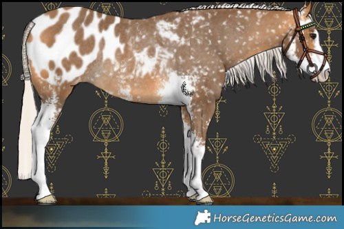 Horse Color:Silver Buckskin Sabino Blanket Rabicano