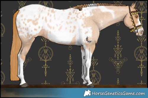 Horse Color:Red Roan Pearl Tobiano Frame Blanket