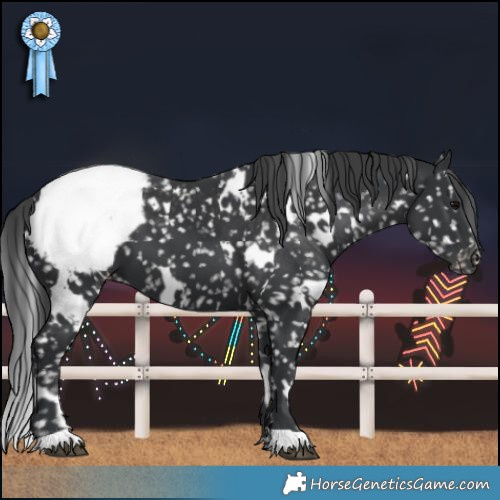 Horse Color:White Spotted Black Snowcap 
