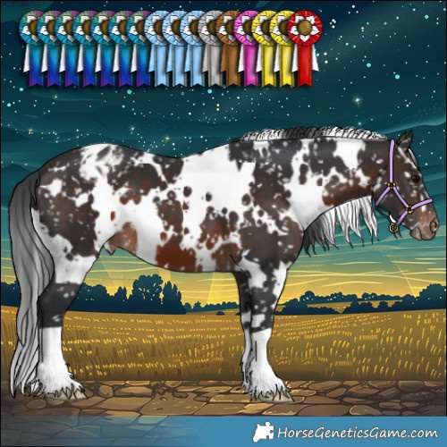 Horse Color:White Spotted Brown Snowflake Varnish 