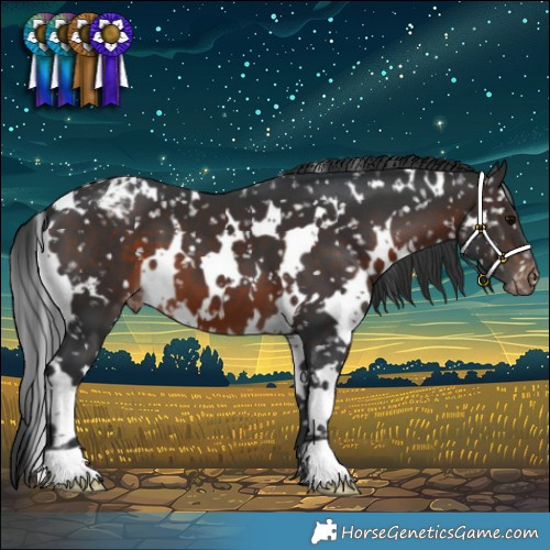 Horse Color:White Spotted Brown Snowflake Varnish