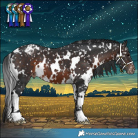 Horse Color:White Spotted Brown Snowflake Varnish