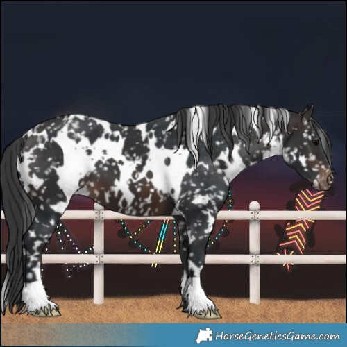 Horse Color:White Spotted Brown Snowflake Varnish