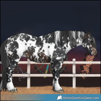 Horse Color:White Spotted Brown Snowflake Varnish