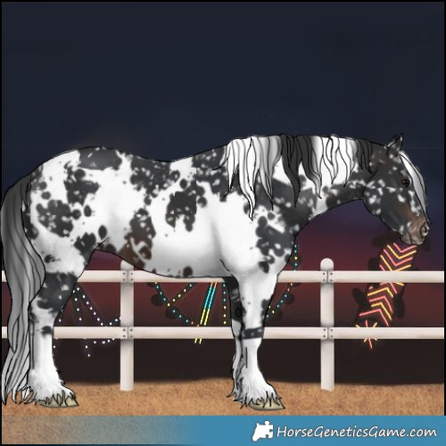 Horse Color:White Spotted Brown Snowflake Varnish 