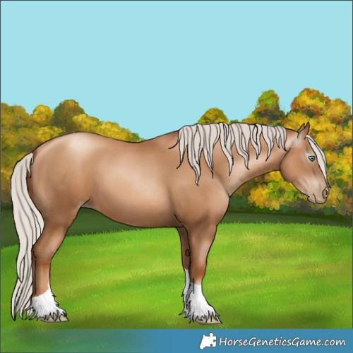 Horse Color:Gray Silver Classic Champagne Pearl Tobiano 