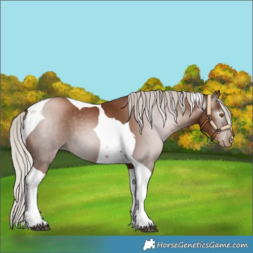 Horse Color:Gray Silver Black Pearl Tobiano 