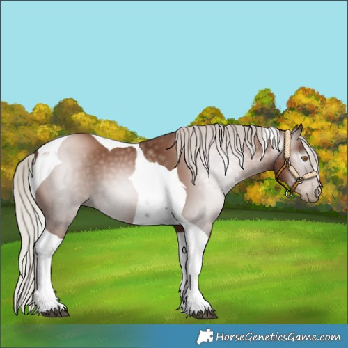 Horse Color:Gray Silver Black Pearl Tobiano 