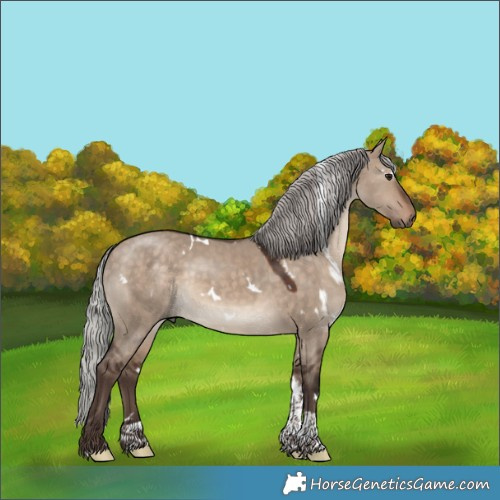 Horse Color:White Spotted Silver Brown Dun Tobiano 