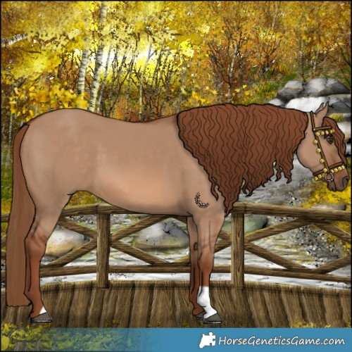 Horse Color:Red Dun 