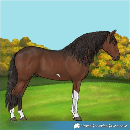 Horse Color:Liver Chestnut Tobiano 