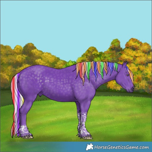 Horse Color:Painted Watercolor Silver Black Chinchilla Tobiano Rabicano