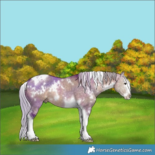 Horse Color:White Spotted Silver Brown Dun Splash Tobiano Rabicano