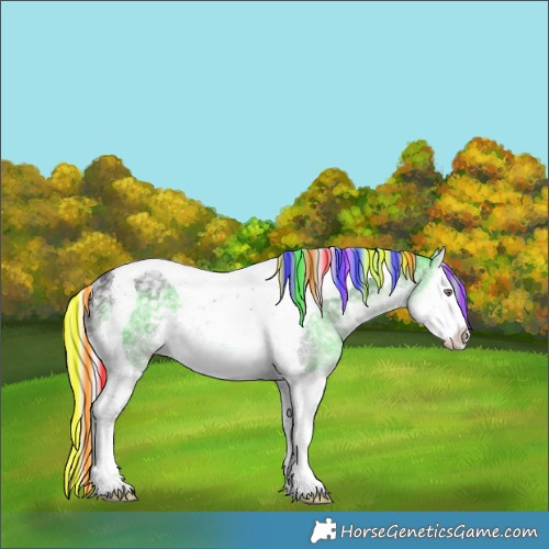 Horse Color:Painted White Spotted Silver Smoky Black Chinchilla Ice Splash Tobiano Rabicano