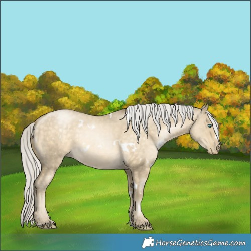 Horse Color:White Spotted Silver Buckskin Pearl Dun Mushroom