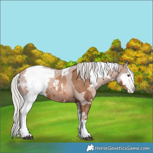 Horse Color:White Spotted Silver Brown Pearl Merle Tobiano