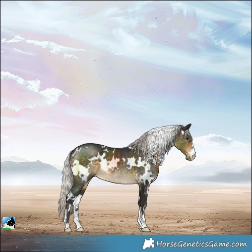 Horse Color:White Spotted Silver Buckskin 