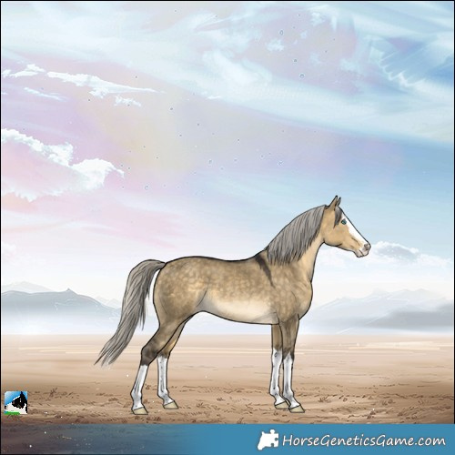 Horse Color:Silver Buckskin Dun Splash