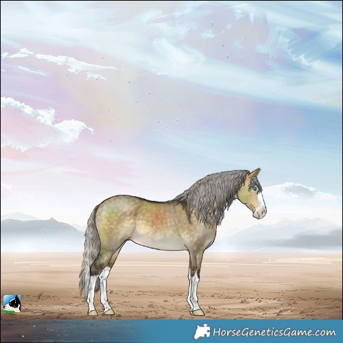 Horse Color:Silver Buckskin Dun Splash 