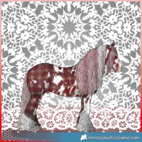 Horse Color:Plaid White Spotted Silver Brown Splash Tobiano Skewed Appaloosa