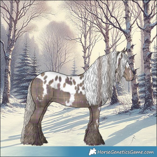 Horse Color:Plaid  White Spotted Silver Black Skewed LP Spotted 