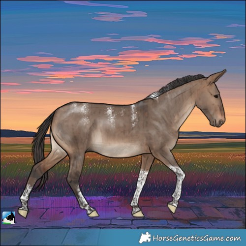 Horse Color:Powder White Brown Dun Tobiano Rabicano Brindle 