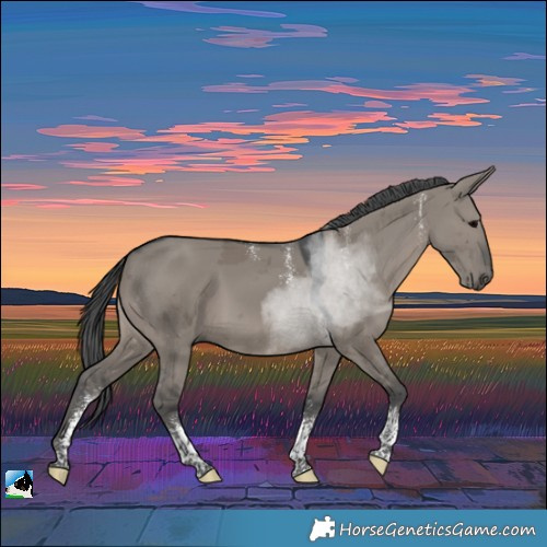 Horse Color:Powder White Grullo Merle Tobiano