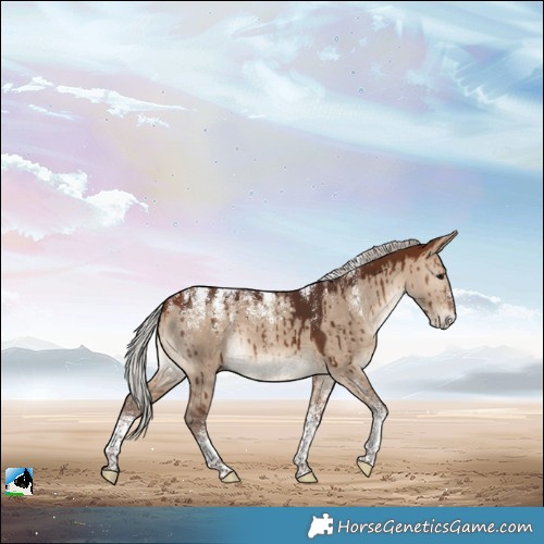 Horse Color:Powder White Silver Bay Dun Brindle 