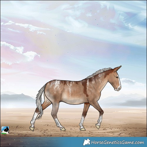 Horse Color:Powder White Silver Bay Dun Splash 