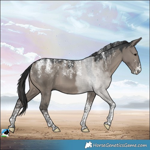 Horse Color:Powder White Grullo 