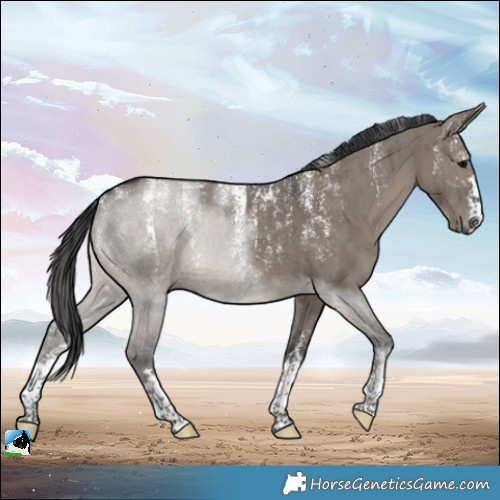 Horse Color:Powder White Grullo Brindle 