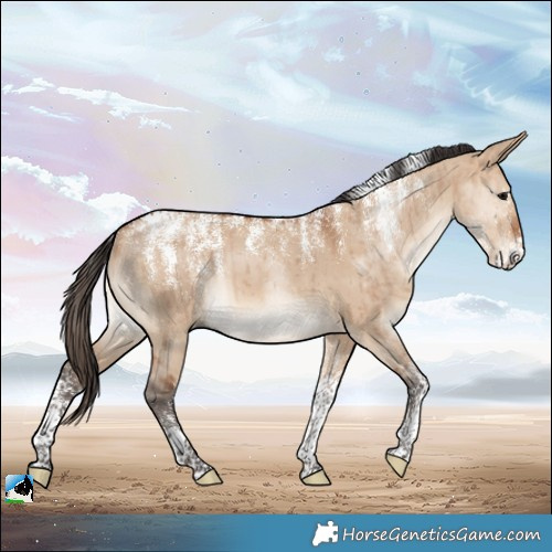 Horse Color:Powder White Bay Dun Brindle 