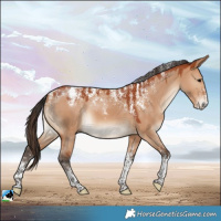 Horse Color:Powder White Bay Dun